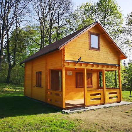Janowickie Zacisze Villa Janowice Wielkie Exteriör bild