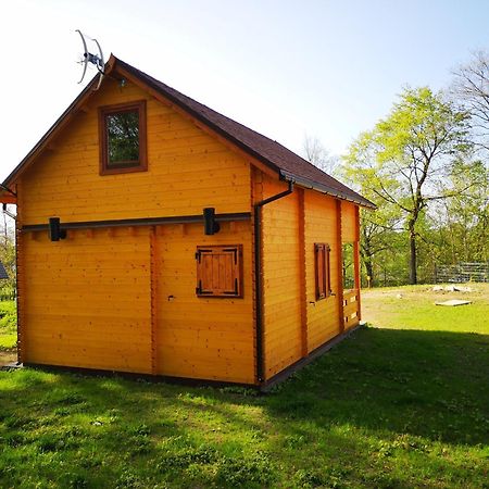 Janowickie Zacisze Villa Janowice Wielkie Exteriör bild